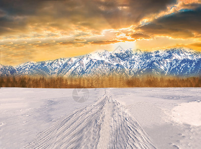 冬季落日夕阳下的雪景设计图片