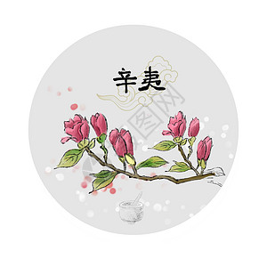 中草药插画草本植物手绘高清图片