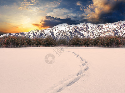 阳光下的雪地夕阳下的雪景设计图片