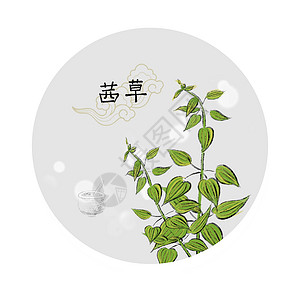 中草药插画草本植物茜草高清图片