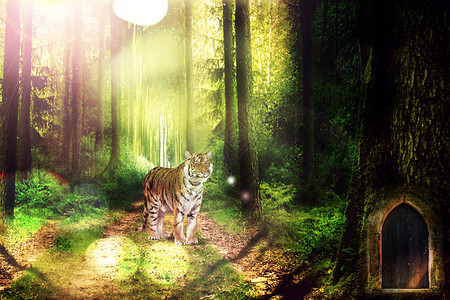 森林之王白虎梦幻森林设计图片