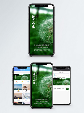 智商情商适可而止手机海报配图模板