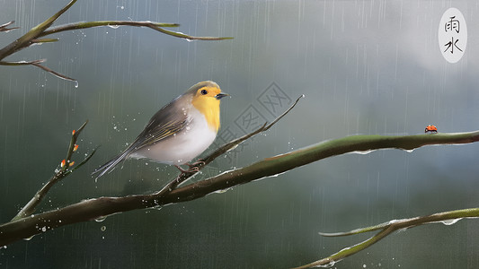 雨中动物雨水插画