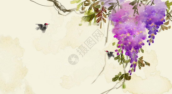 国画水墨写意紫藤花卉高清图片