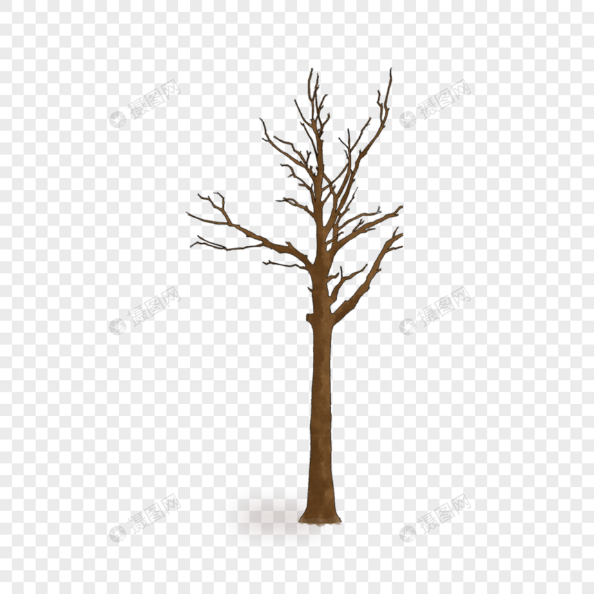 冬季的树图片