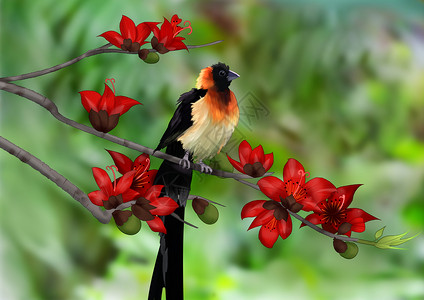 春天红色花可爱动物春天手绘鸟插画