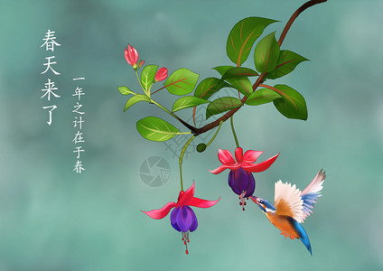 春天手绘可爱动物鸟背景图片