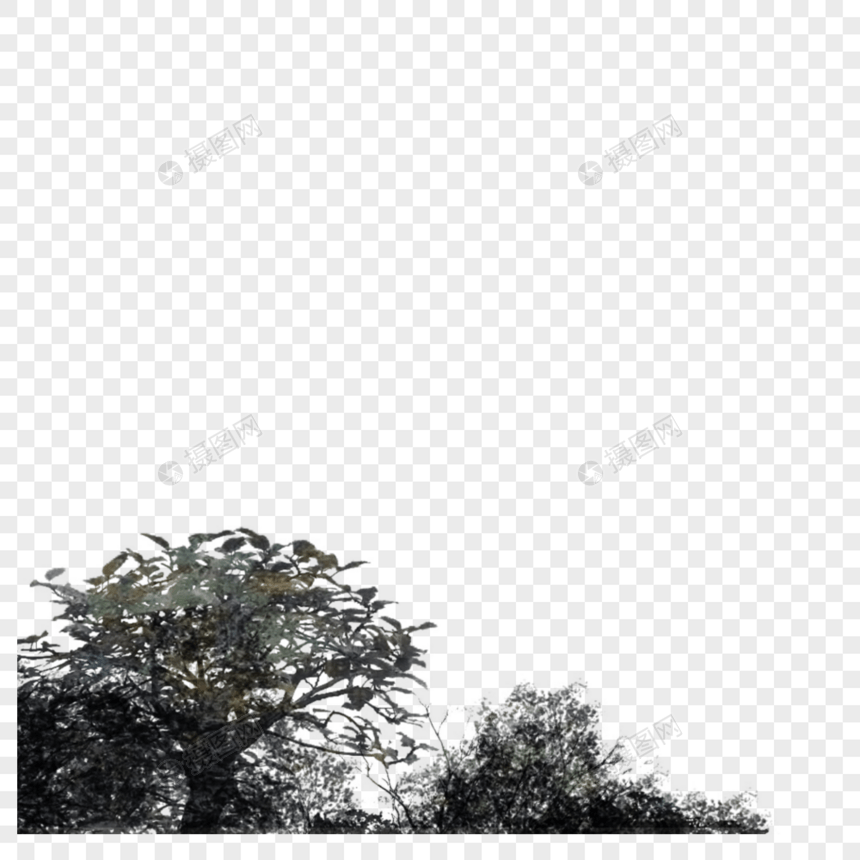 树图片