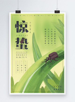 昆虫之王绿色清新24节气之惊蛰海报模板