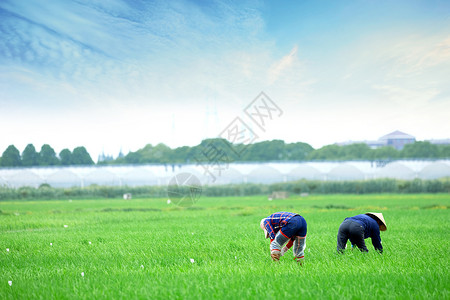 劳动节农民种地春种场景设计图片
