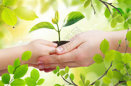 种树的男人植树节设计图片