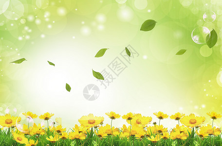 茂盛的杂草春暖花开设计图片