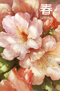 春暖花开季生机露水高清图片