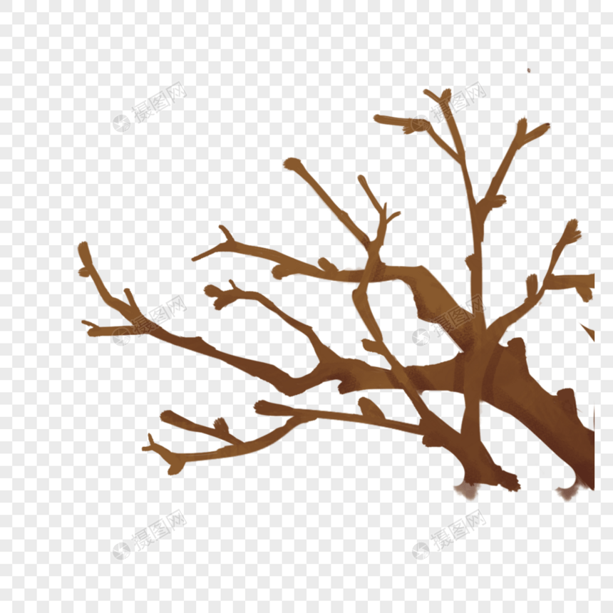 冬季的树枝图片