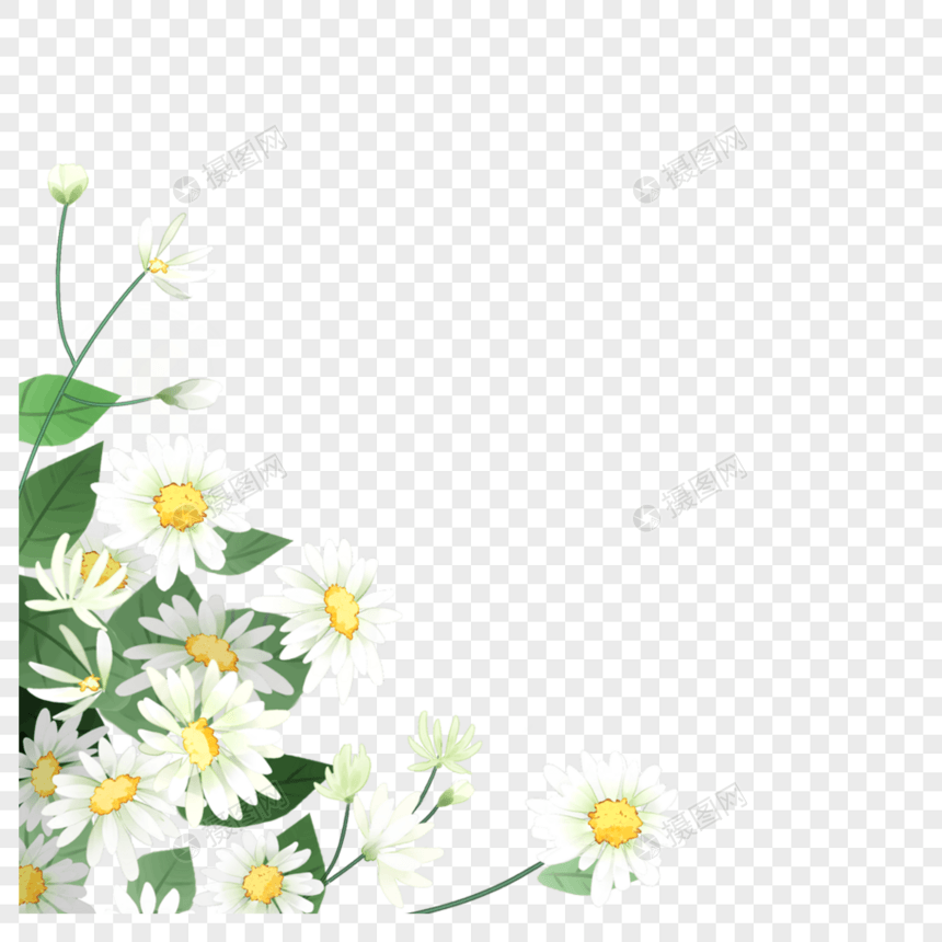 花卉装饰图片