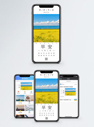 油菜花背景艳丽你好早安手机海报配图模板