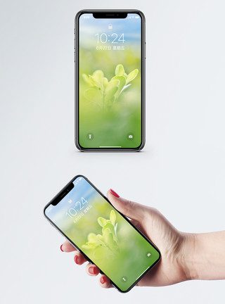 植物春天背景手机壁纸模板