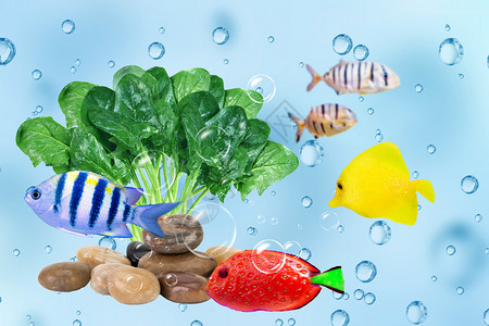菠菜馒头水果鱼设计图片