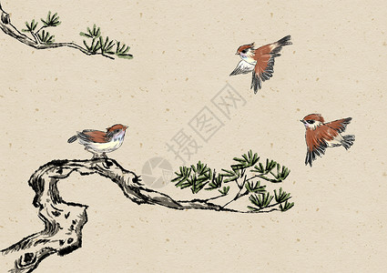 水墨的松树和鸟背景图片