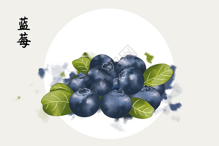 水果蓝莓插画图片