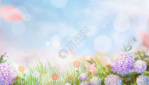 淡紫色雏菊春天花朵设计图片