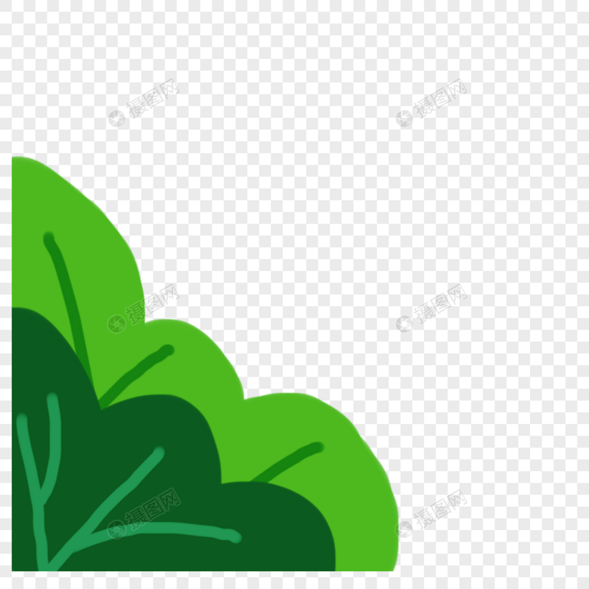 绿植图片