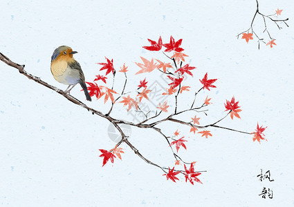 枫树水墨水墨的枫树和鸟插画