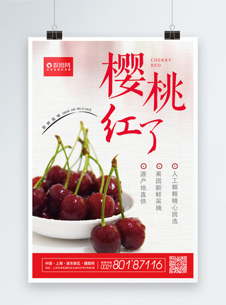 美味营养樱桃樱桃红了水果樱桃促销海报模板