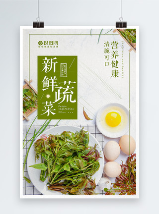 生态绿色营养美味新鲜美味蔬菜香椿海报模板