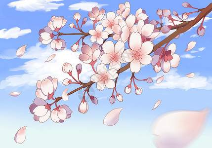 一棵开花的树樱花插画