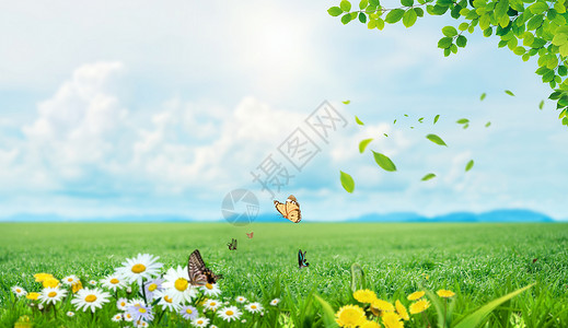 鲜花中蝴蝶春天美景设计图片