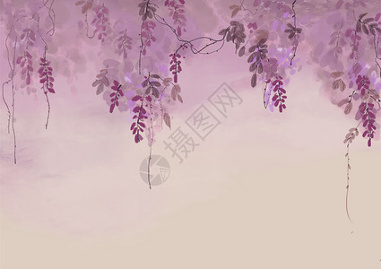 紫藤花高清图片