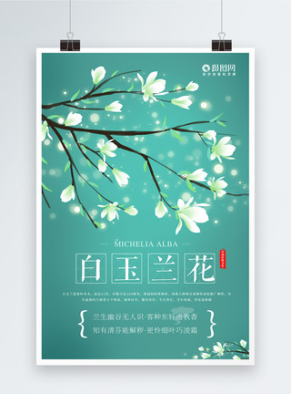 兰花素材插画风春季赏花之白玉兰花海报模板