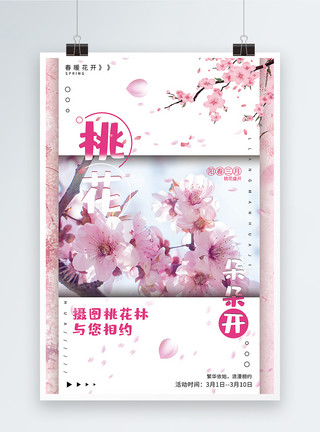 粉色花儿盛开粉色小清新桃花朵朵开海报模板