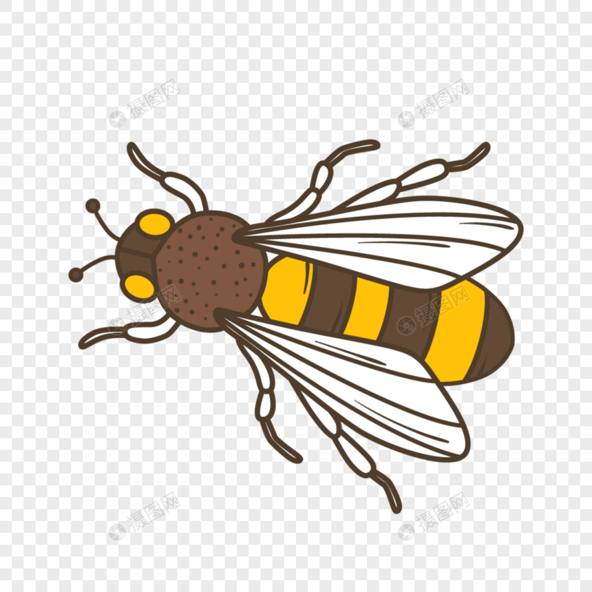 蜜蜂元素图片