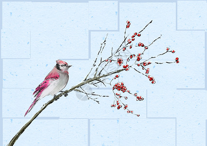 冬天果子水墨冬季的鸟插画