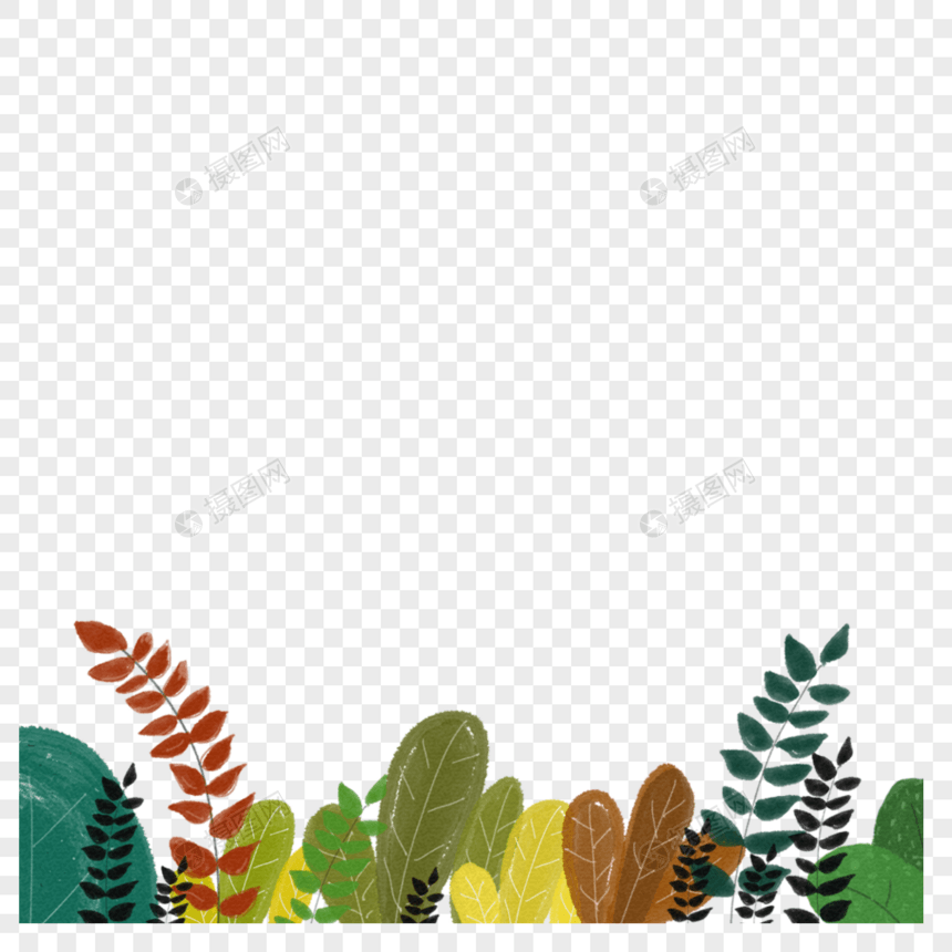 绿色植物装饰图片