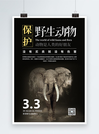 动植物标本世界野生动植物日海报模板