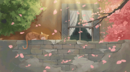 格桑花海樱花树下晒太阳的猫gif高清图片