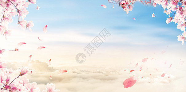 樱花背景背景图片