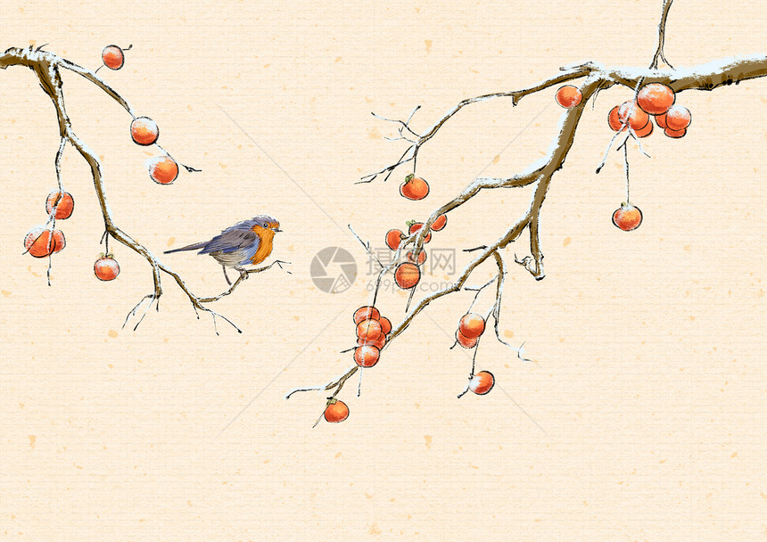 水墨冬天的柿子鸟图片
