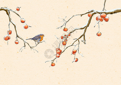 吃虫子的鸟儿水墨冬天的柿子鸟插画