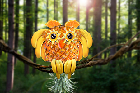 黄色眼睛的动物水果猫头鹰设计图片