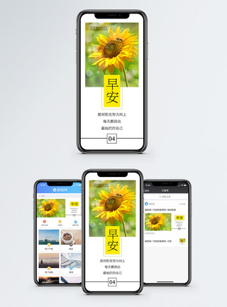 向日葵阳光早安日签手机海报配图模板