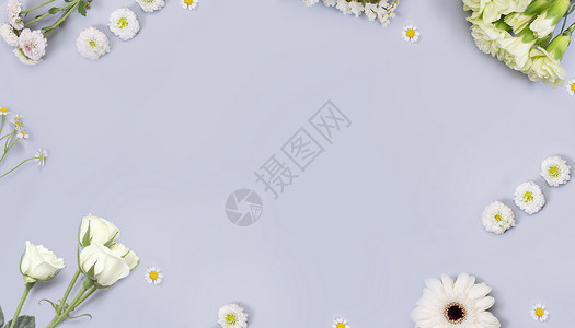 清新紫色花束简洁花朵壁纸设计图片