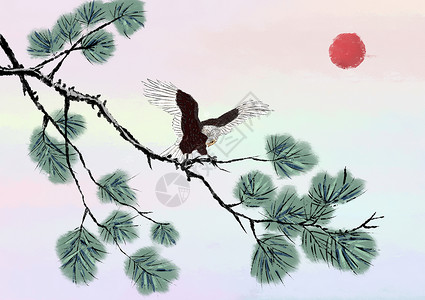 红笔水墨的鹰松树插画