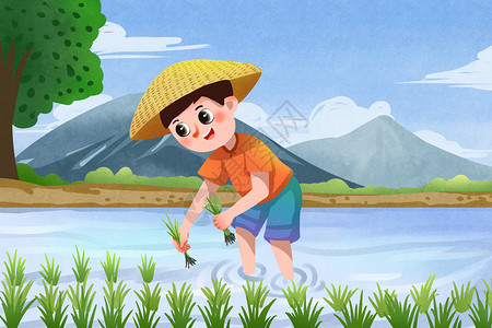 水稻秧苗谷雨耕种插画