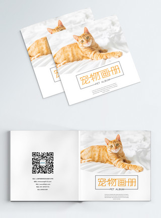 书和猫时尚简约宠物画册封面模板