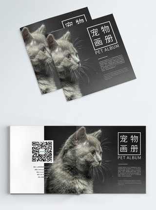 吃鱼黑色猫咪现代简约时尚大气猫咪宠物画册封面模板
