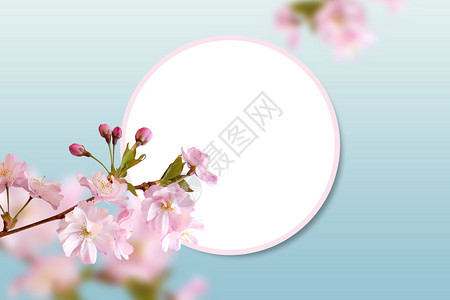水彩圆形素材春天的花朵设计图片